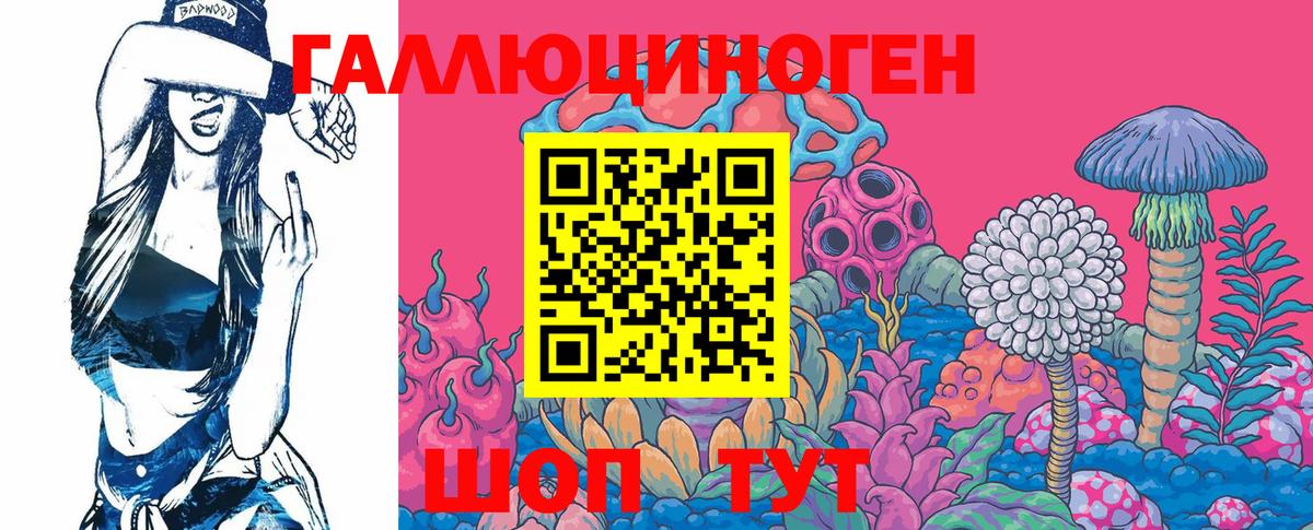 Псилоцибиновые грибы Cubensis Ухта